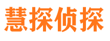 解放市侦探调查公司